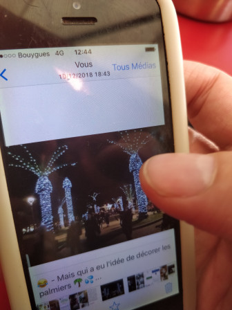 Cro-Mi me montre sur son téléphone des palmiers décorés de guirlandes lumineuses. Le résultat est délicieusement subversif.