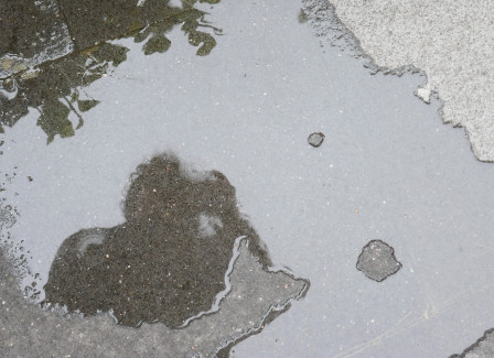 Ceci n'est pas mon cul mais mon reflet dans une flaque d'eau.