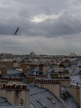 Un gabian dans le coin en haut à gauche d'une photo de ciel gris et de toits parisiens.