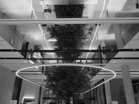 Le hall d'entrée de l'immeuble du bureau. Avec ses miroirs au plafond l'envers et l'endroit sont des notions floues, pour peu qu'on s'y perde un peu.