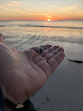 Un caillou qui contient tout l'amour et toute la tendresse de mon fils, il a passé longtemps à chercher ce Tardis de l'amour ("il est petit pour que tu puisses le porter mais à l'intérieur il est immense, Maman !").